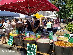 Le Cap d'Agde- Place du Barbecue- 6 juin 2020 - 19